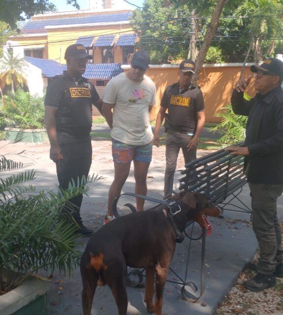 Policía Nacional arresta hombre acusado de lanzar dos perros desde el piso 11 de una torre residencial en el Distrito Nacional