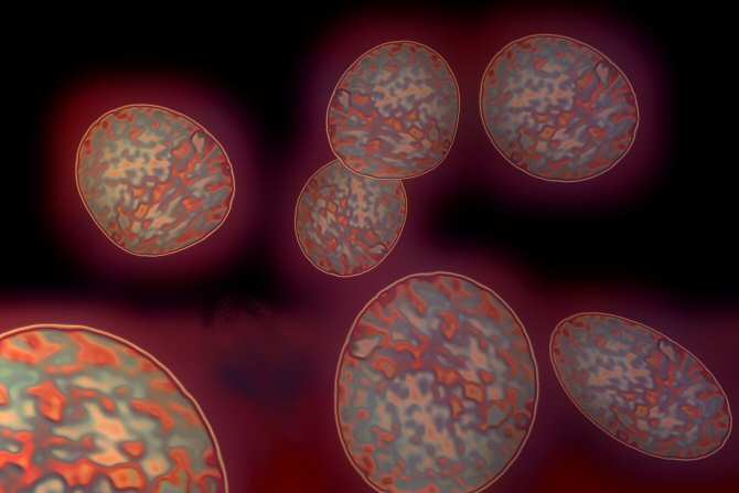 Generar dentro del cuerpo células que maten solo a las cancerosas