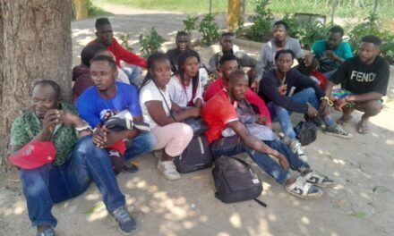 Detienen 14 haitianos indocumentados durante patrullaje militar en Valverde