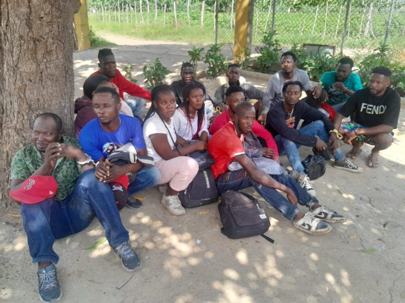 Detienen 14 haitianos indocumentados durante patrullaje militar en Valverde