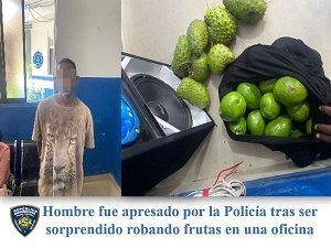 Hombre fue apresado por la Policía tras ser sorprendido robando frutas en una oficina