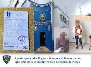 Agentes policiales llegan a tiempo y detienen menor que agredió a su madre en San Gregorio de Nigua