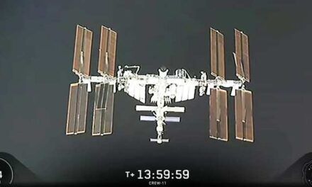 Comienza la misión espacial SpaceX Crew-11