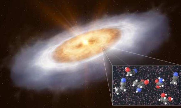 Más indicios del origen cósmico de la vida