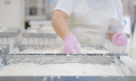 Cómo optimizar la gestión de la calidad en la industria alimentaria