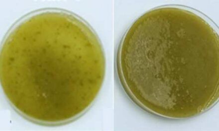 ¿Pasteurización de los batidos de frutas para mejorar la digestión de polifenoles beneficiosos?