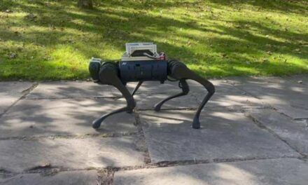 Locomoción con la misma destreza que la de los animales en un robot cuadrúpedo con inteligencia artificial