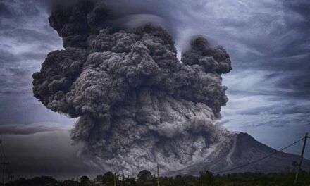 Los sonidos más graves y más agudos de la naturaleza