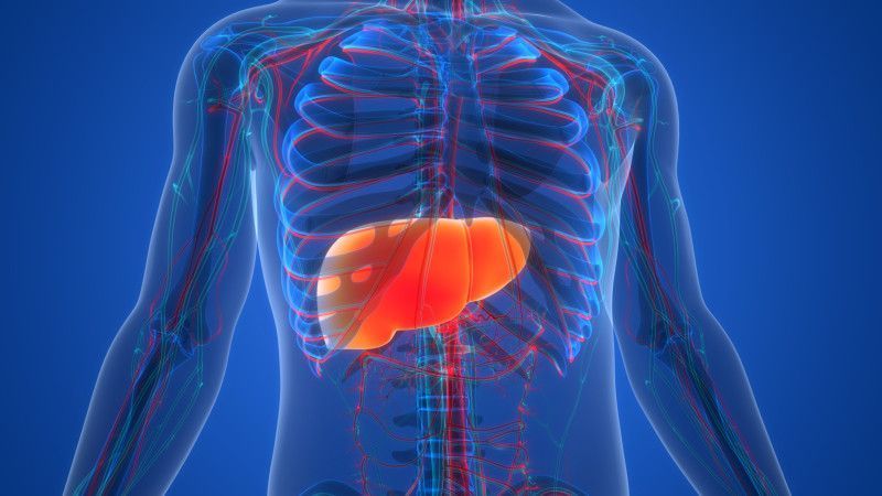 Hepatitis: una amenaza silenciosa que puede derivar en cáncer de hígado
