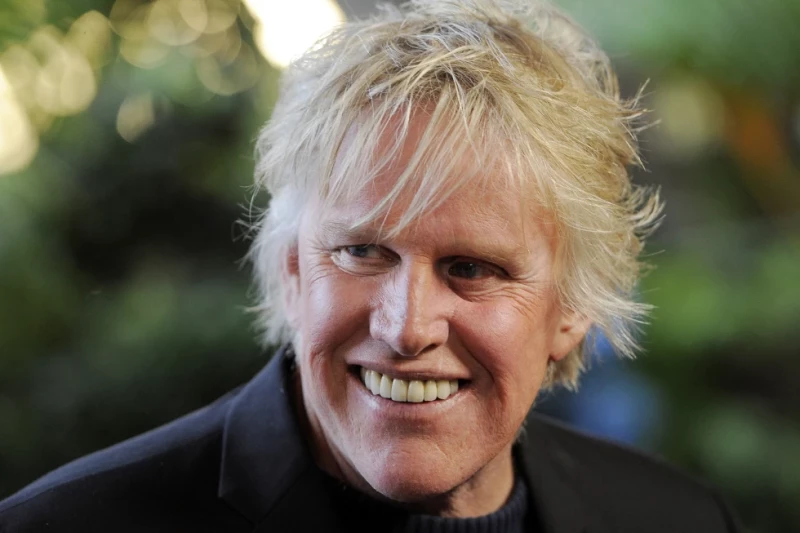 Actor Gary Busey se declara culpable de manosear a una mujer