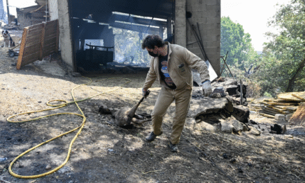 Los incendios y el calor consumen el sur de Europa