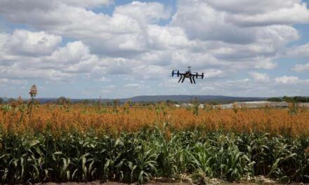 Más allá de la navegación: 7 usos sorprendentes del GPS en la ciencia, la industria y la vida cotidiana