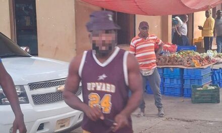 Detienen pareja dominicana que agredió brigada migratoria en Elías Piña
