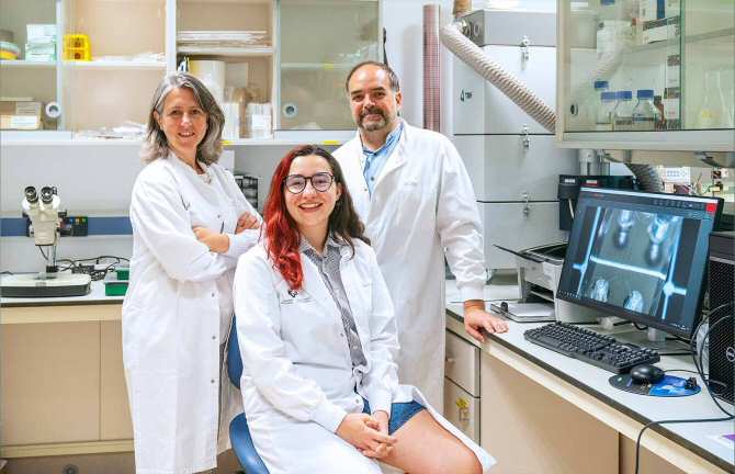 Usando litografía por vacío, crean estructuras funcionales más pequeñas que el grosor de un pelo