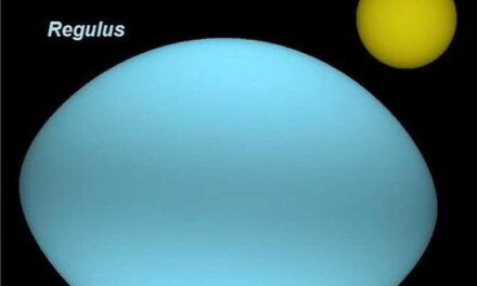 Estrellas oblongas