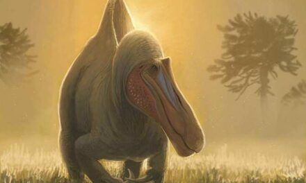 ¿Origen europeo para un gigantesco dinosaurio carnívoro africano?