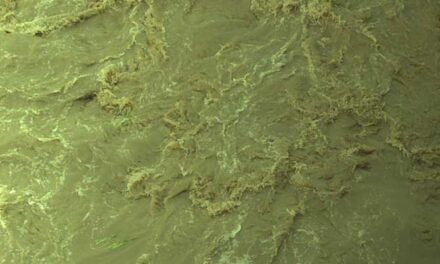 Eliminar contaminantes del agua mediante unas nuevas nanopartículas flotantes