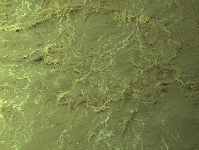 Eliminar contaminantes del agua mediante unas nuevas nanopartículas flotantes