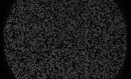 Récord en computación cuántica: 6100 bits cuánticos
