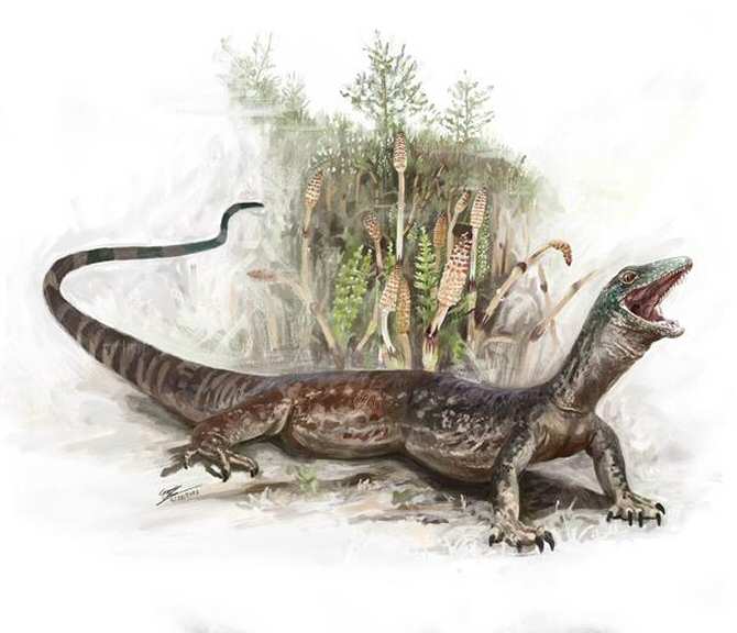 Ni del todo lagarto ni del todo serpiente, así era un posible ancestro de ambos