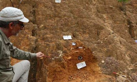 Descubren la presencia generalizada del ser humano en Guinea Ecuatorial hace al menos 45.000 años