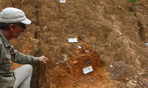 Descubren la presencia generalizada del ser humano en Guinea Ecuatorial hace al menos 45.000 años