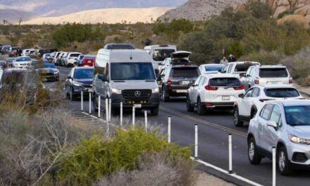 ¿Nos sentimos seguros en un coche autónomo?