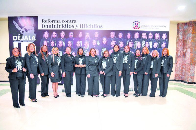 Congreso Nacional busca erradicar el feminicidio y filicidio en RD para 2035