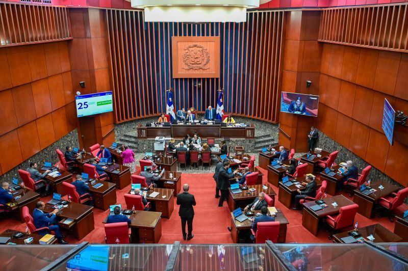 Empresarios lamentan Senado ignorara sus propuestas al Código Laboral