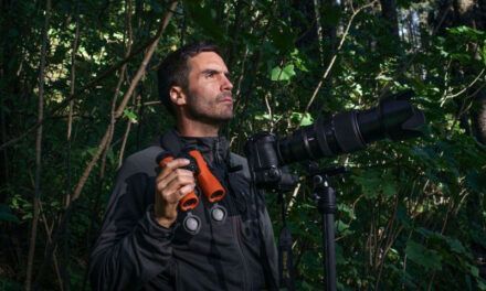 Jaime Rojo: para el fotógrafo de las mariposas monarcas, los animales no son peligrosos