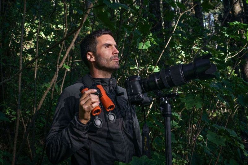 Jaime Rojo: para el fotógrafo de las mariposas monarcas, los animales no son peligrosos