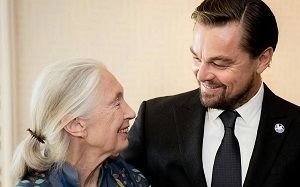 Leonardo DiCaprio despide con un emocionante mensaje a Jane Goodall: «Eres mi heroína»