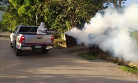 Salud Pública refuerza vigilancia epidemiológica ante circulación de chikungunya en Cuba