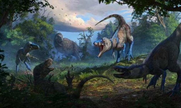 Gran error científico con el Tiranosaurio rex