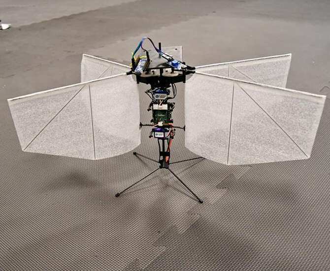 Dron inspirado en las polillas