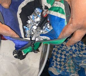 DICRIM Nigua arresta a joven y ocupa drogas durante allanamiento legal en San Gregorio de Nigua