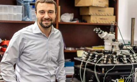 Construyen un nuevo ordenador inspirado en el cerebro humano