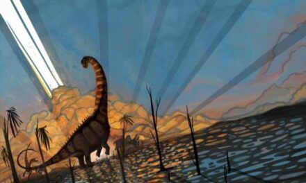 La verdadera situación de los dinosaurios poco antes de su extinción