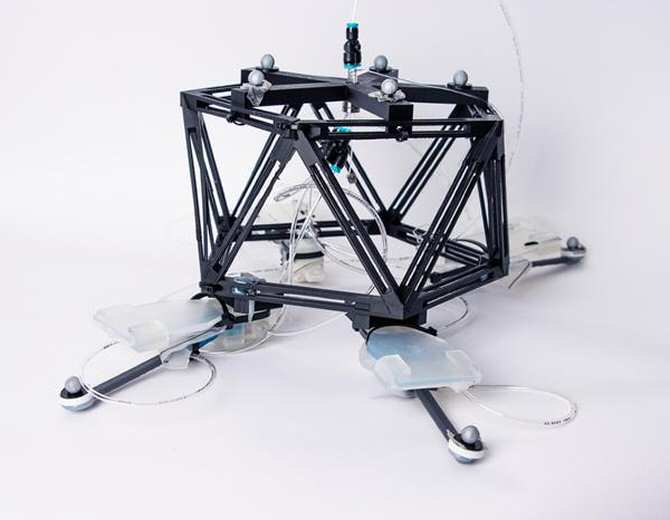 Robots “sin cerebro” capaces de locomoción sofisticada