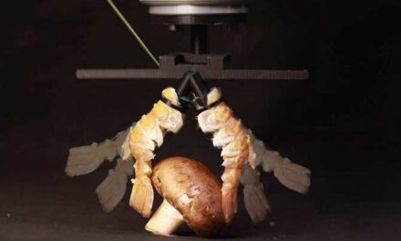 Crean cíborgs de robot y cadáver
