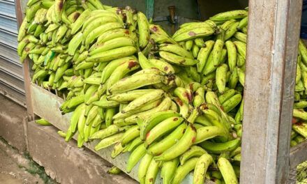 Inflación interanual se situó en 4.81% a noviembre