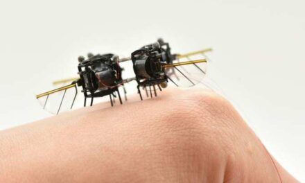 Crean un microrrobot que vuela tan rápido como un abejorro