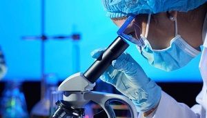 Descubren mecanismo que el cuerpo usa para eliminar las células que no necesita