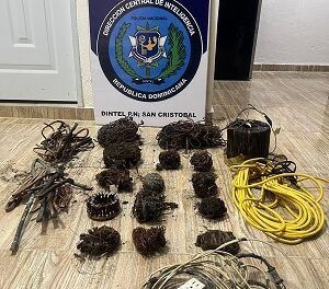 Allanamiento ejecutado por DINTEL en metalera Fradelqui refuerza acciones investigativas y preventivas en San Cristóbal policiales