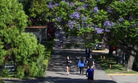 Solo 5 minutos más de actividad física reducen un 10% el riesgo de mortalidad