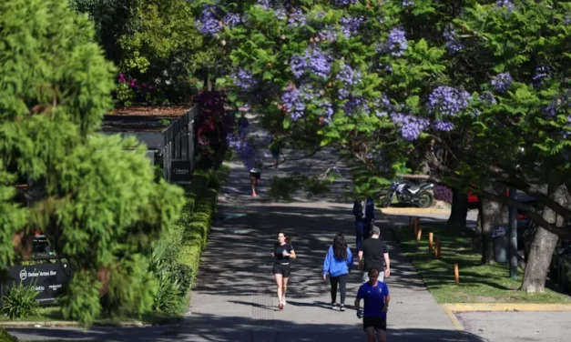 Solo 5 minutos más de actividad física reducen un 10% el riesgo de mortalidad