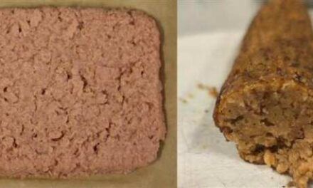 Proteína no animal capaz de mejorar el sabor y las propiedades nutritivas en dietas veganas y vegetarianas