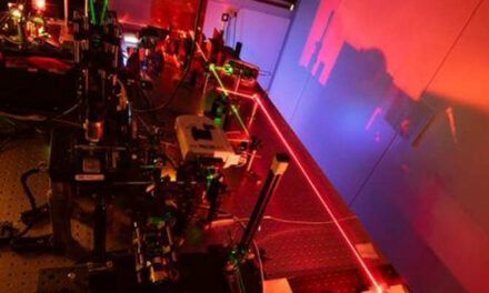 Nueva técnica de microscopia óptica para estudiar células sin agentes de contraste
