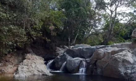 Turismo interno: destinos de RD a visitar este año 2026