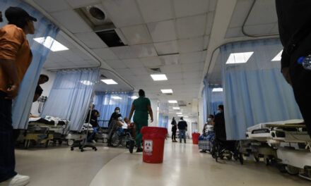 Hospitales Gautier y Moscoso: operando entre desafíos y deseos de mejora